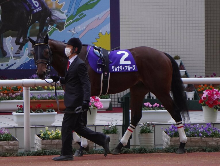 グレナディアガーズはNHKマイルCに出走する