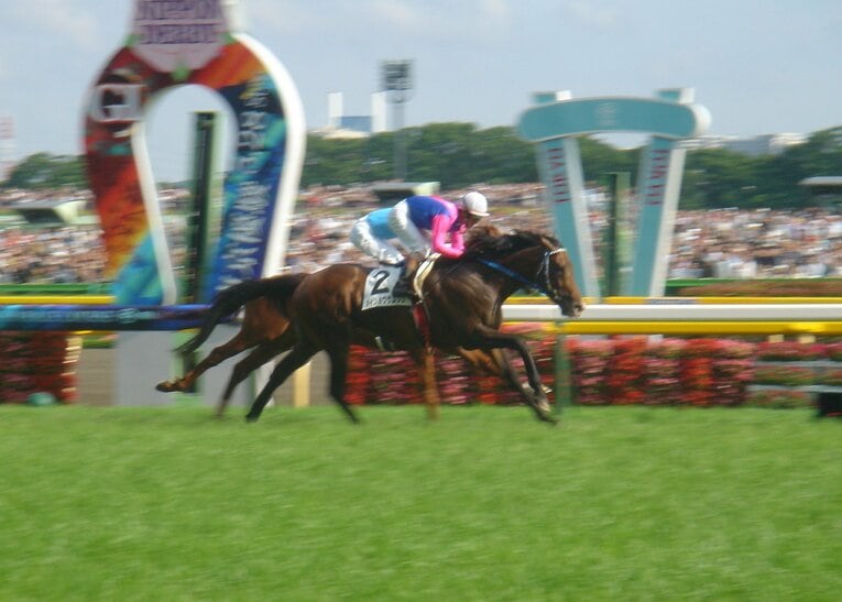 日本ダービーを制したメイショウサムソン　©Satoshi Hiramatsu