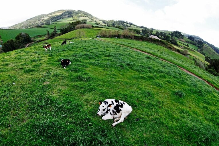 「山の斜面にスタジアム」「守田英正のお薦め料理は…」日本代表MFが戦う“離島クラブ”は美しい風景とグルメ満載だった《現地で撮影》(25)