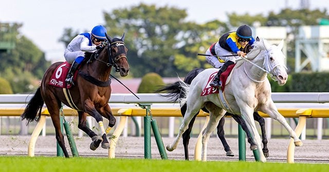 ソダシがまた“競馬史”を書き換えるのか…マイルチャンピオンシップを