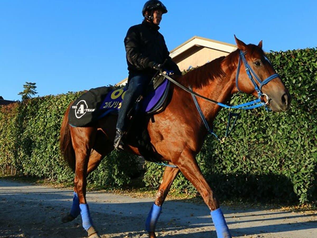 新装のダートgi チャンピオンズカップ 充実の日本勢か 王国からの刺客か 競馬 Number Web ナンバー