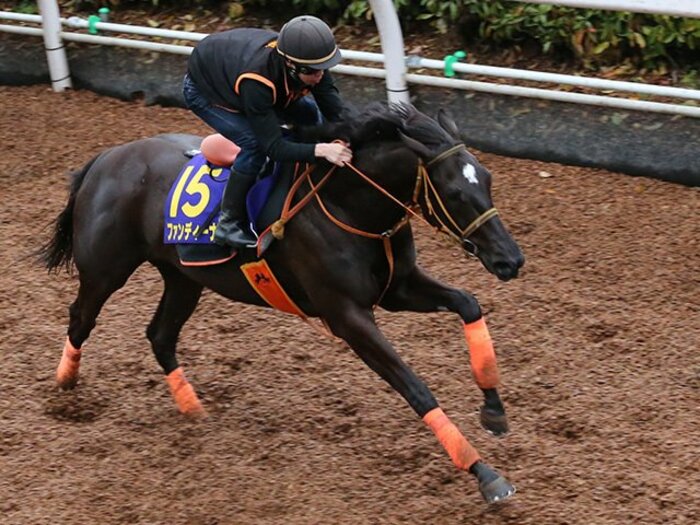 ディープ以来の無敗皐月賞馬は牝馬!?ファンディーナは素質だけで3連勝中。<Number Web> photograph by Yuji Takahashi