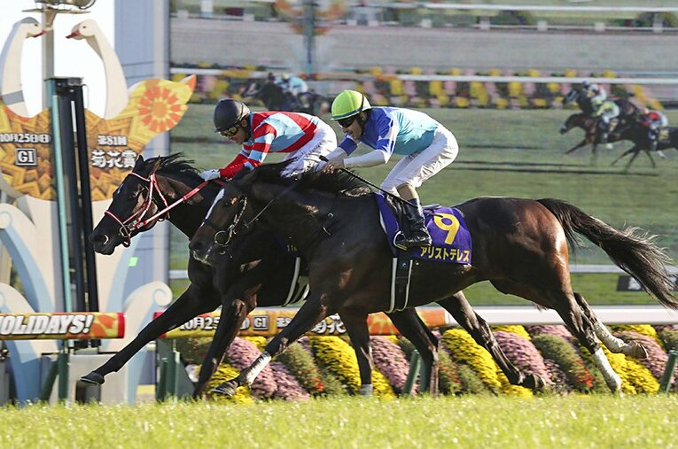 昨年の菊花賞で無敗三冠を達成したコントレイルと接戦を繰り広げたアリストテレス（右） ／ photograph by Kyodo News