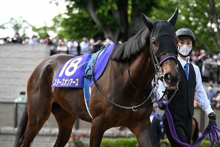 オークス直前に顔面を蹴られて放馬…発走“15分の大遅延”はなぜ起きたのか？「多くの馬の戦いは、スタート前に終わってしまった」(25)
