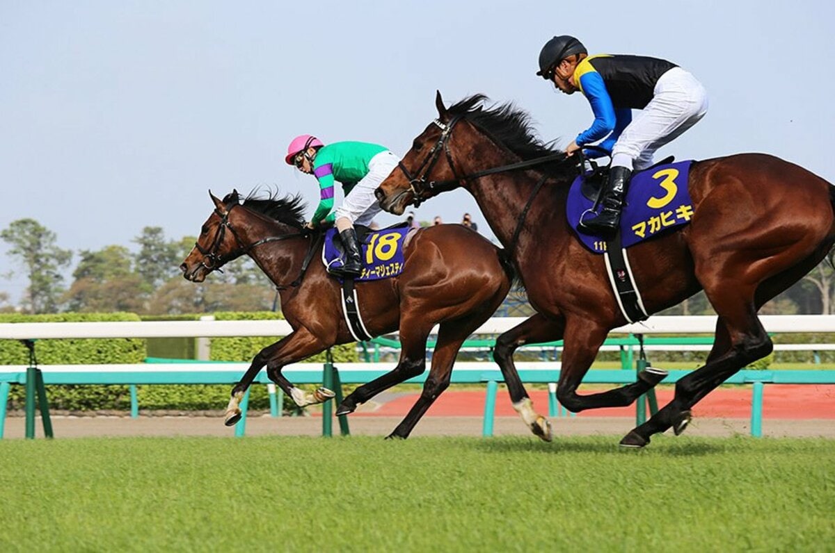 今年の日本ダービーは「名作」必至。東京の直線は、マカヒキの