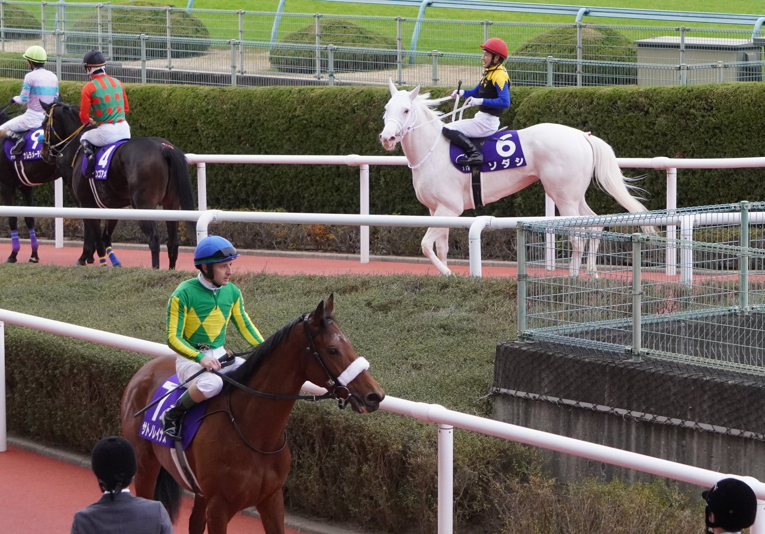 阪神ジュベナイルフィリーズではソダシ（奥）の2着になったサトノレイナス