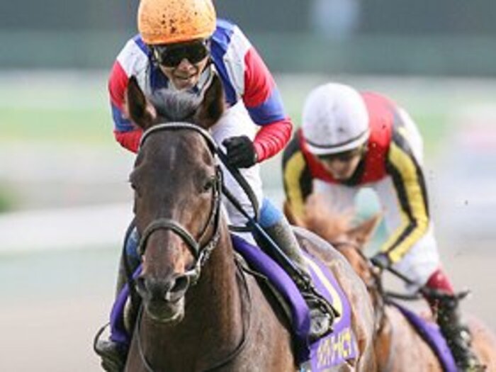 過去の失敗を糧に挑む凱旋門賞、日本馬の勝算。～ディープより有利な2つの理由～＜Number Web＞ photograph by NIKKAN SPORTS/AFLO