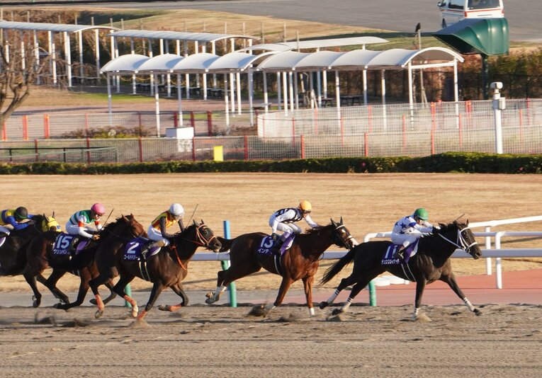 (C)Satoshi Hiramatsu