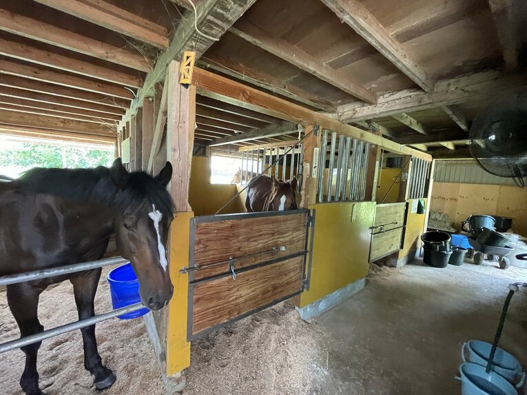 佐藤弘典さん宅の厩舎。中の様子