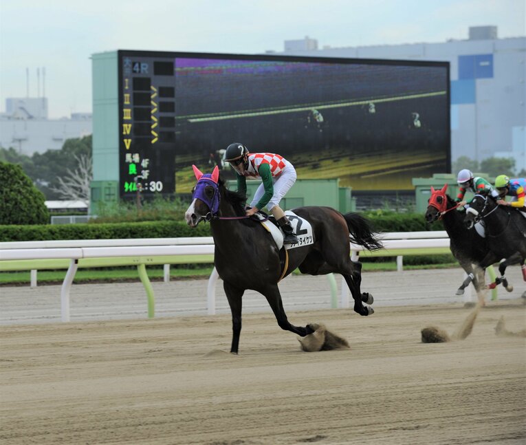 他馬が止まって見えるほどの末脚は海外でも話題を呼んだ　写真提供：TCK（東京シティ競馬）