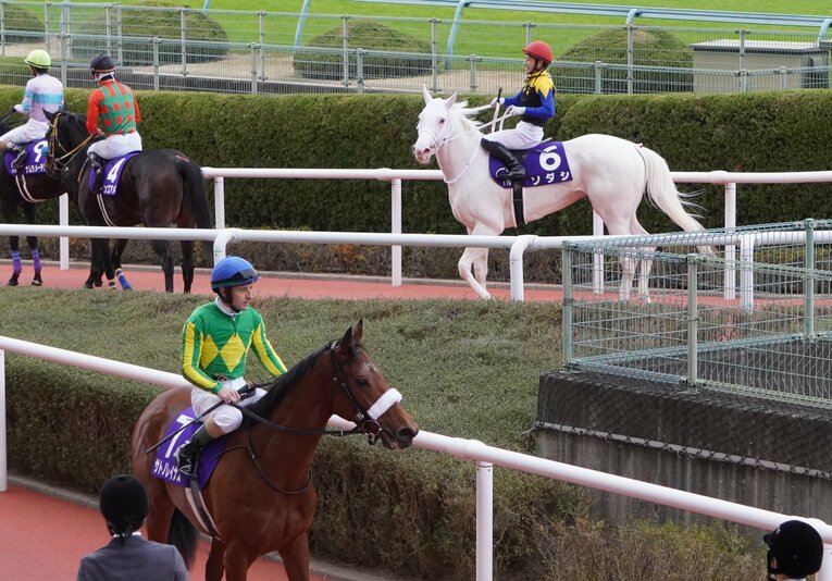 阪神ジュベナイルフィリーズではソダシ（奥）の2着になったサトノレイナス