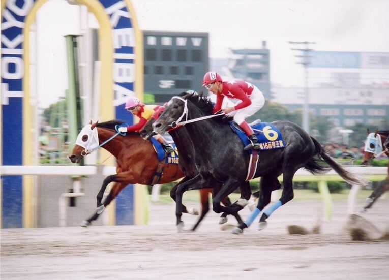 1993年、ハシルショウグンで帝王賞を初制覇　協力：TCK（東京シティ競馬）