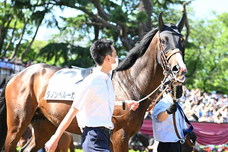 武豊「ディープインパクトはダートでも強かったと思う」ディープにダイワスカーレット、2頭の名馬が“走らなかった”幻のフェブラリーS計画(61)