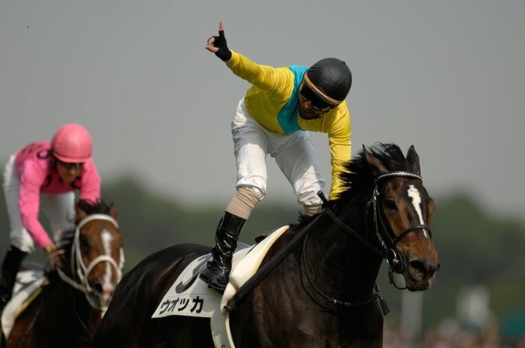 ウオッカ ／ photograph by Keiji Ishikawa