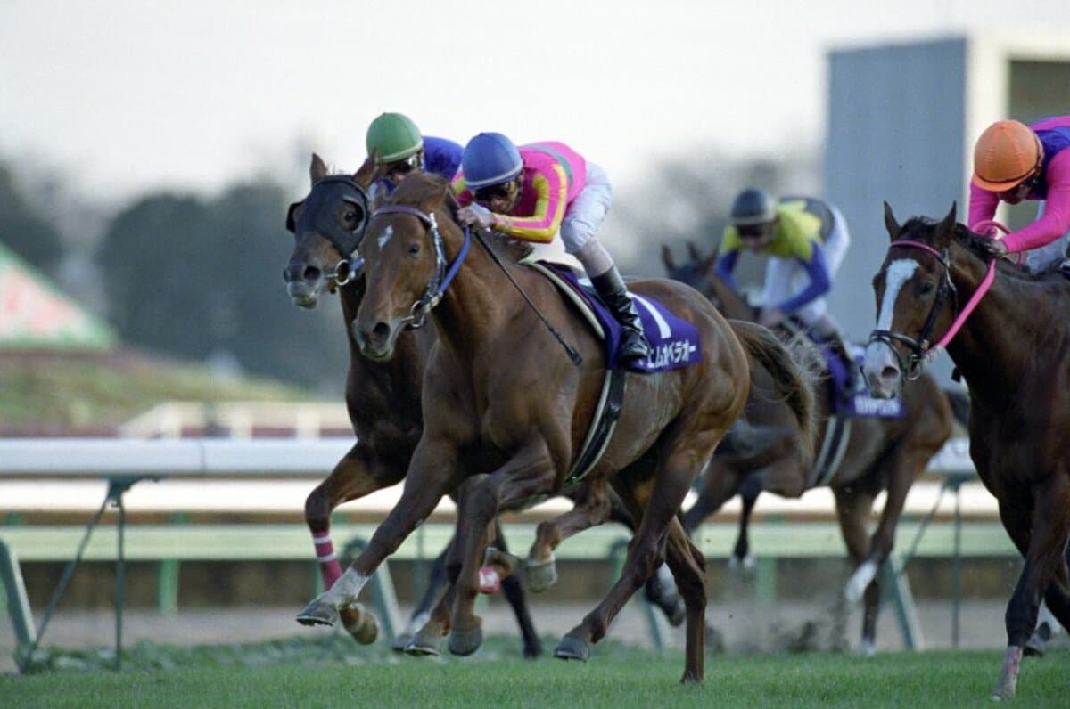 残り310m、絶体絶命の有馬記念で見せた執念…テイエムオペラオーの「年間グランドスラム」は“日本競馬史に残る偉業”だった - 競馬 - Number  Web - ナンバー