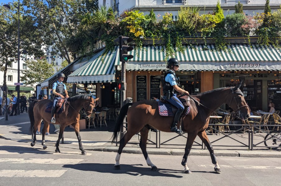 「公道を馬が歩いている！」パリ街中で遭遇した“馬が身近すぎる”驚きのフランス馬事情「馬糞を見るのも日常」「馬術の競技人口は日本の約100倍」＜Number Web＞ photograph by Yu Saito