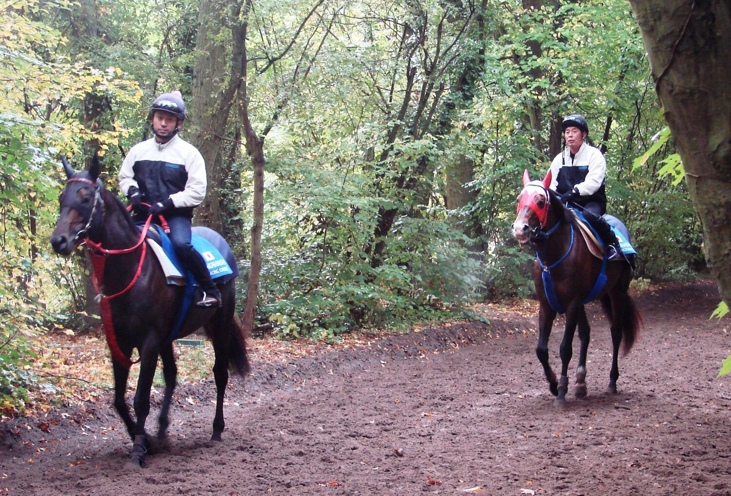 メイショウサムソン（右）の現地での調教の様子　©Satoshi Hiramatsu