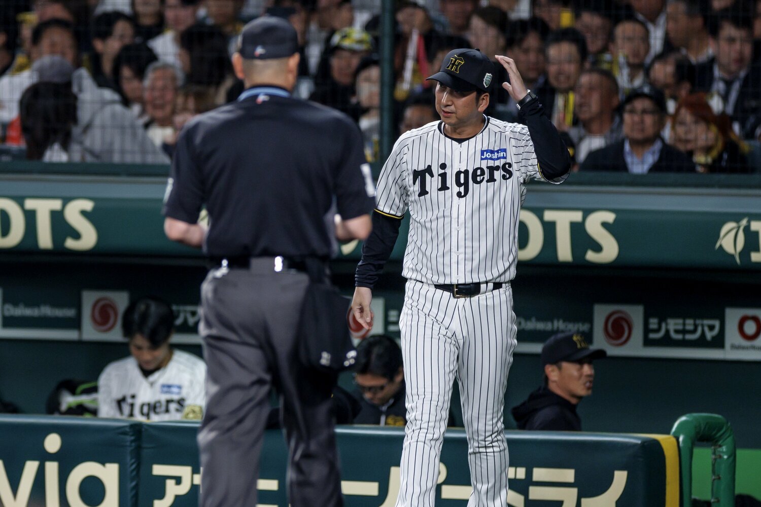 6回裏、投手・大竹に打順がまわったところで交代を告げた藤川球児監督 ©️Kiichi Matsumoto