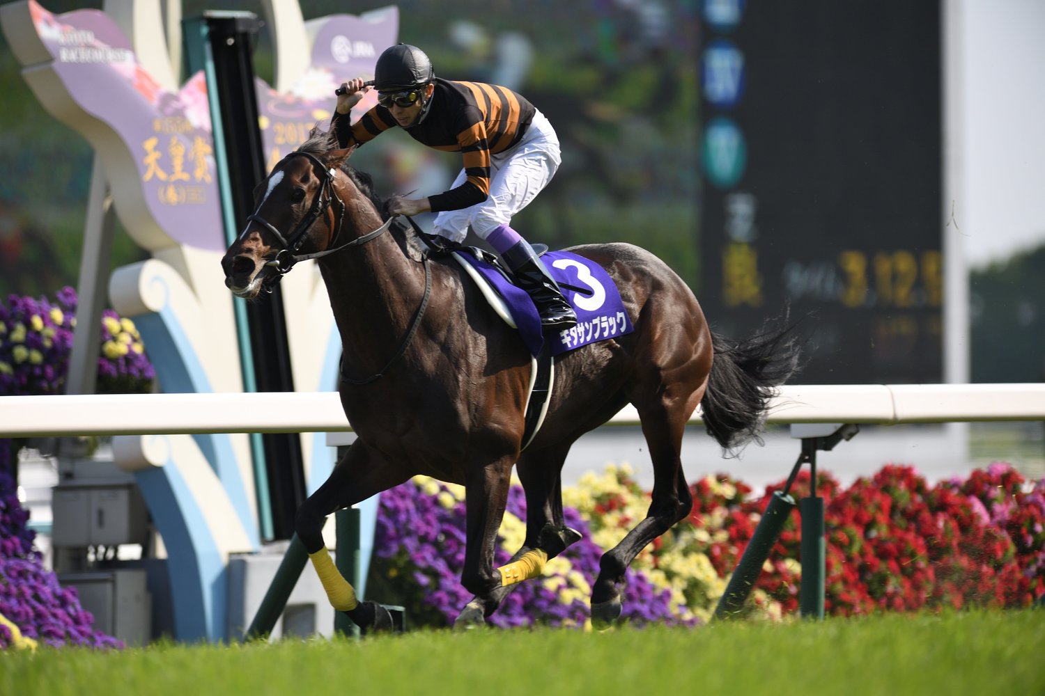 2017年の天皇賞・春を制したキタサンブラックと武豊　©BUGEISHUNJU