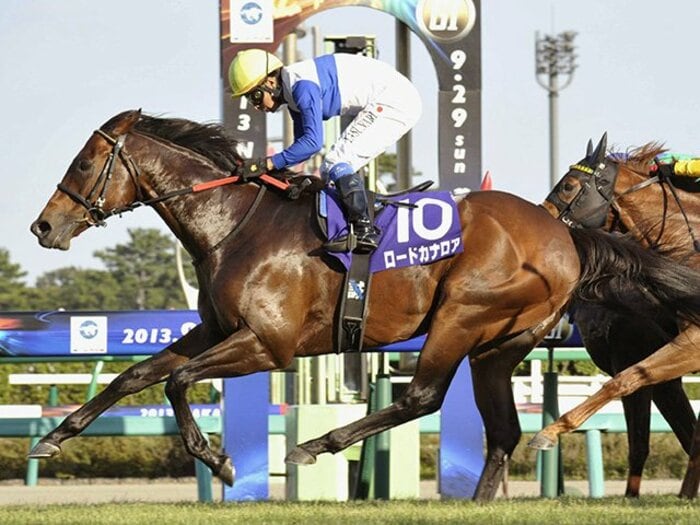 スプリンターズSを予想していたらディープの偉大さに改めて驚いた。＜Number Web＞ photograph by Kyodo News