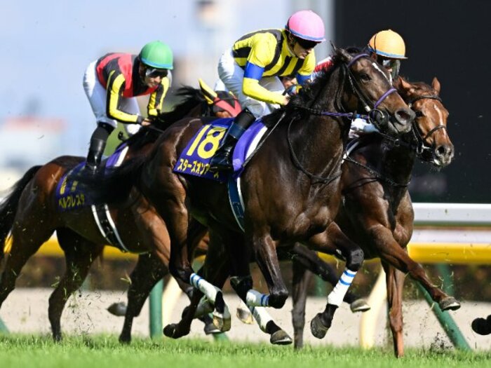 秋華賞のカギを握る“手術明け”スターズオンアースの状態は? “三冠牝馬”誕生を阻止するとしたら「潜在能力がスゴい」あの馬か<Number Web> photograph by Keiji Ishikawa