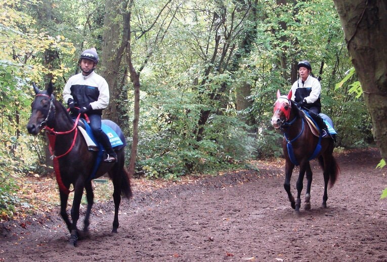 メイショウサムソン（右）の現地での調教の様子　©Satoshi Hiramatsu