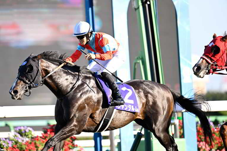 1番人気メイケイエールはなぜ不発に終わった？ 波乱のスプリンターズS、「すべての展開が味方した」ジャンダルムが生んだ“血のドラマ”(36)