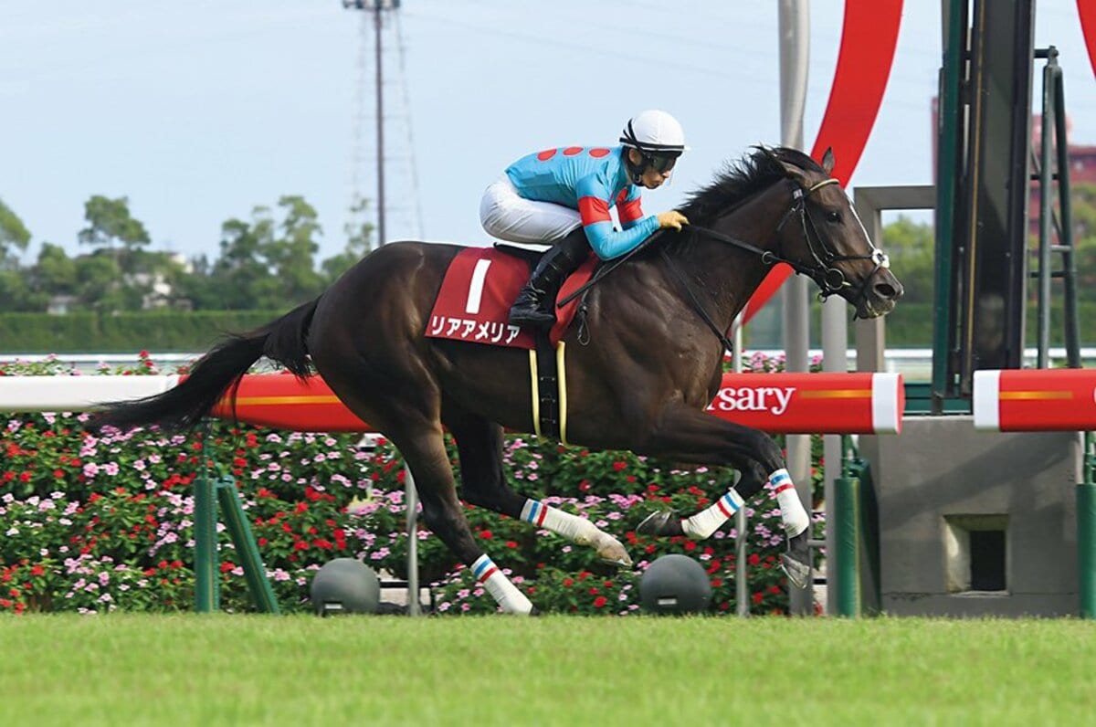 悲願のリーディングを狙う川田将雅。数字が裏付ける圧倒的安定感