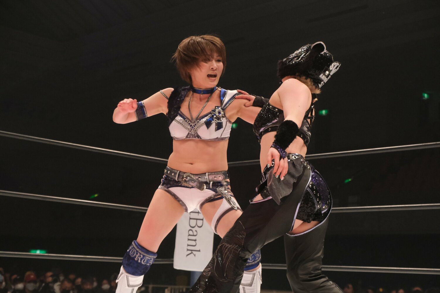 打撃戦でも真っ向から激しくやり合った