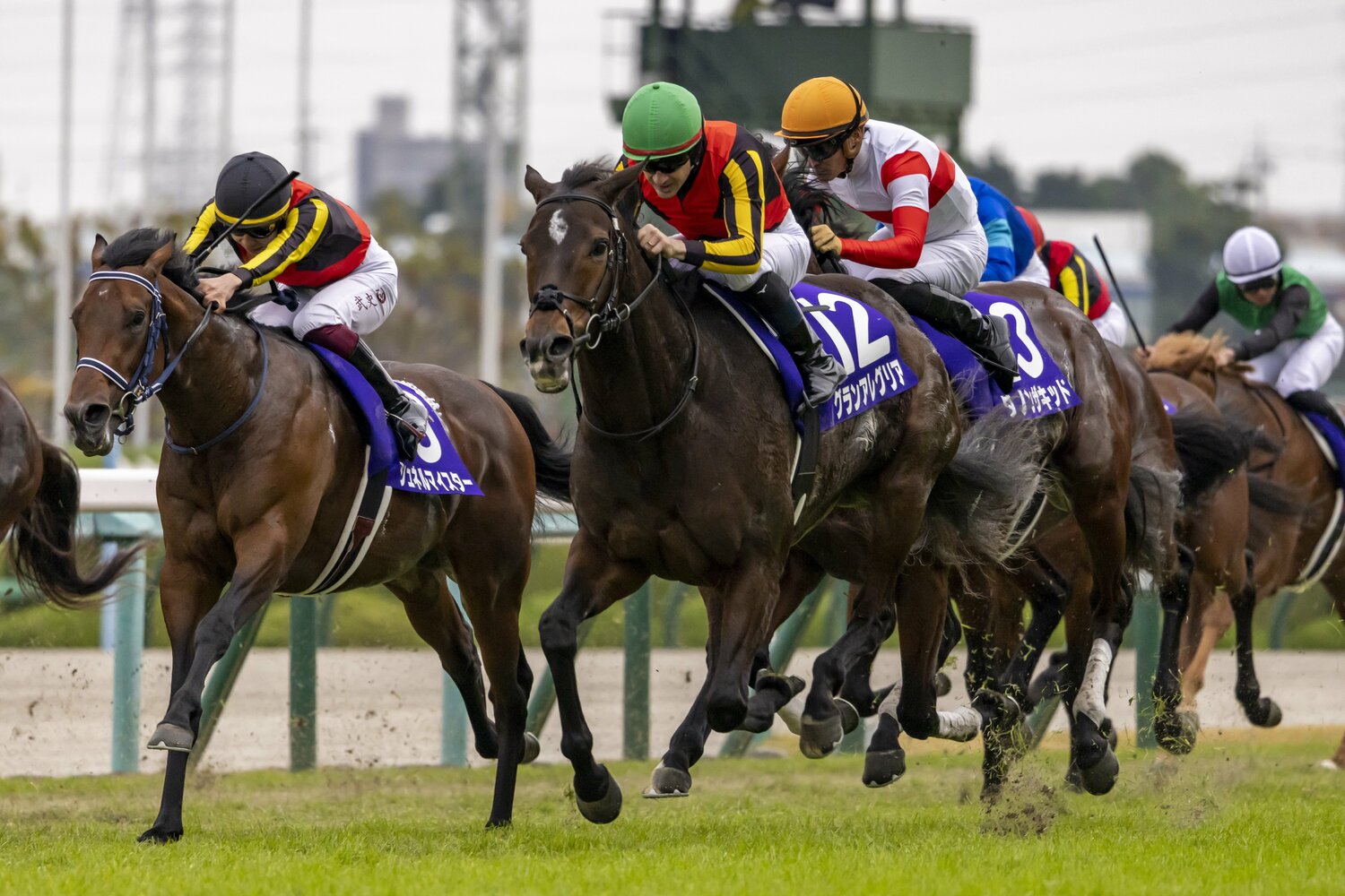 グランアレグリアの引退レースとなった21年のマイルチャンピオンシップ