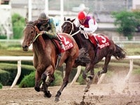 サニーブライアン　週刊100名馬　69 年間ランキング6年連続受賞】 サニーブライアン週刊100名馬69
