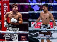 モンスター井上尚弥のプロ3戦目の佐野友樹戦のパンフレット 最強の証明03】井上尚弥 VS佐野 友樹 2013.04.16 | Full Fight - YouTube