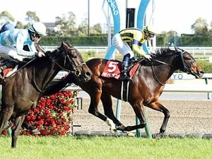 ディープインパクト産駒が思わぬ苦戦も？ 京都競馬場休止に地震が追い打ちをかけた「傷んだ馬場」問題