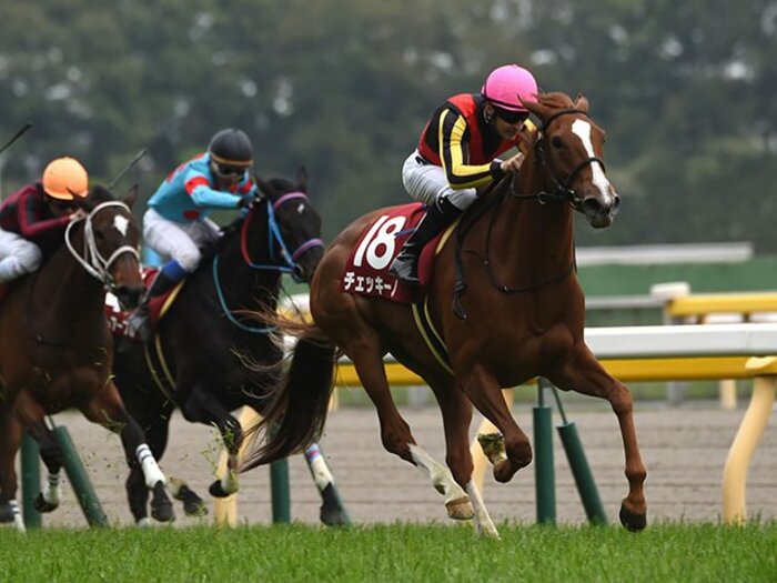 桜花賞に「出なかった」馬の別格さ。オークスは準備万端のチェッキーノ!<Number Web> photograph by NIKKAN SPORTS