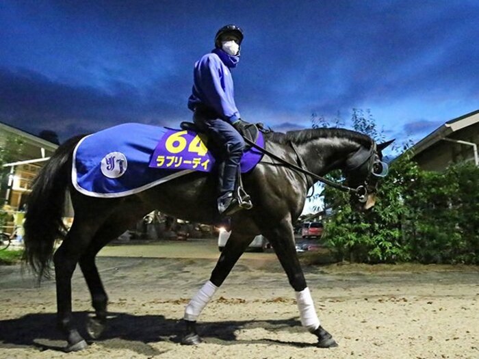本気度の高い外国馬vs.手薄な国内馬。ラブリーデイ本命も、JCは混戦模様。<Number Web> photograph by Yuji Takahashi