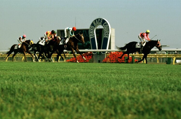 オグリキャップは燃え尽きてしまったのか」17万人超の観衆、歩くことも