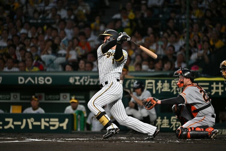 阪神タイガース岡田彰布監督現役時代使用バッティンググローブ 阪神タイガース岡田彰布監督現役時代使用バッティンググローブ