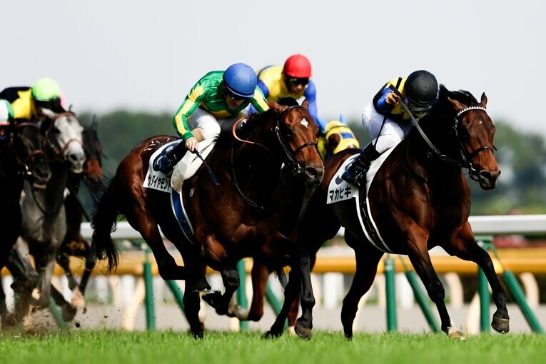 ダービーは落鉄がありながら僅差の2着となっていたサトノダイヤモンド　©Kiichi Matsumoto