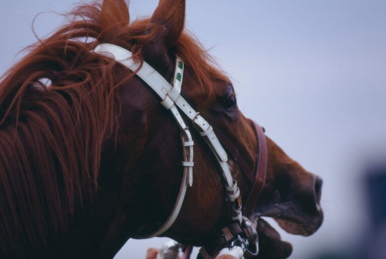 ミホノブルボン