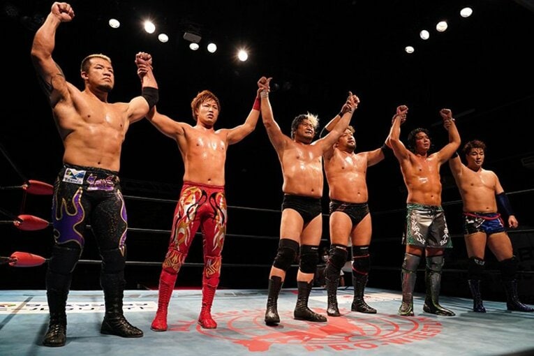 プロレスは市民に必要不可欠か？フロリダ州知事の特別許可で論争。(3)