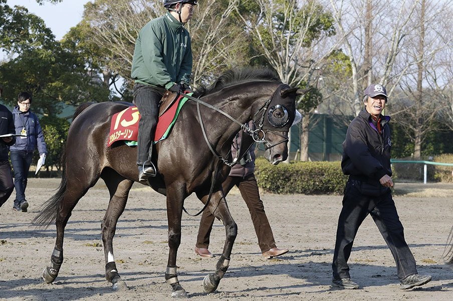 死角がどうにも見当たらない 桜花賞はソウルスターリングの一強 競馬 Number Web ナンバー