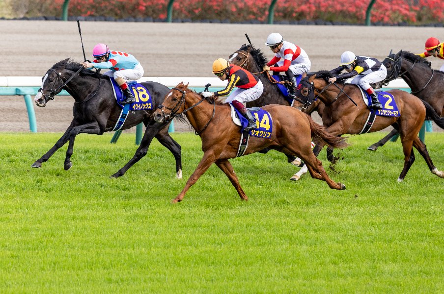 クラブ馬主に夢はあるのか? 出資者のリアルな収支を検証… “5年でマイナス80万円”でも「これ以上の娯楽はない」と断言するワケ<Number Web> photograph by Photostud