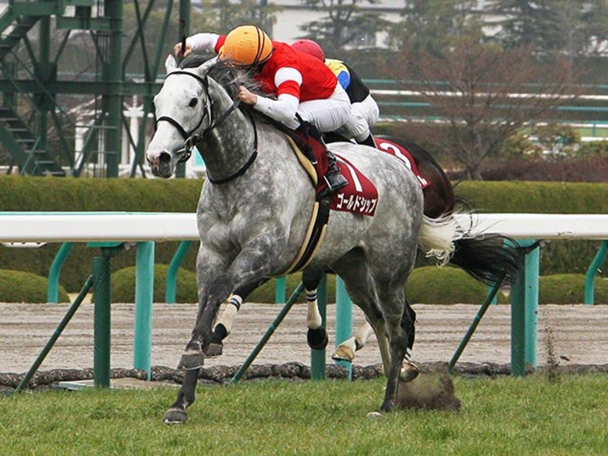 オルフェ、ジェンティルもついに始動！“ちょっと変わった古馬三強”を