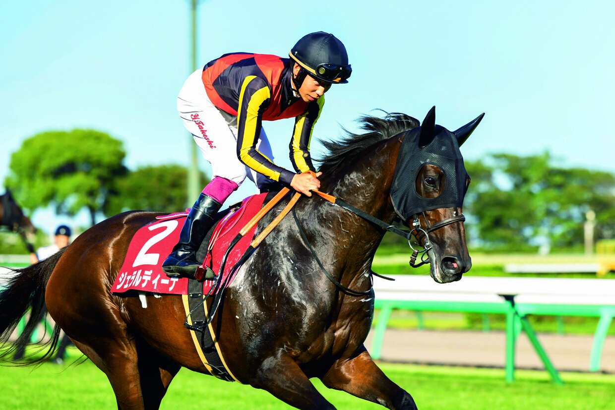 オールカマーで牡馬の一線級やデアリングタクトを撃破した良血馬ジェラルディーナ　©Photostud