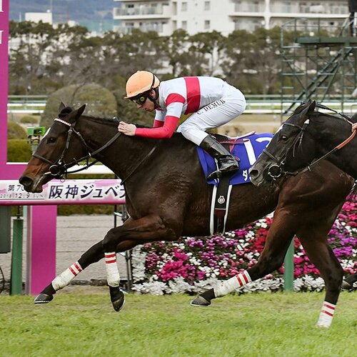 阪神ジュベナイルフィリーズを徹底解剖 - Number Web - ナンバー