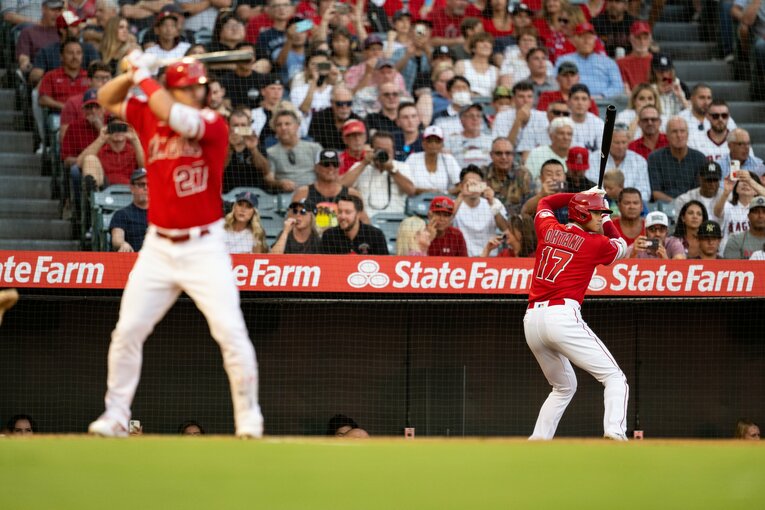 2022年の「トラウタニ」　©Nanae Suzuki