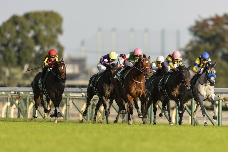 アルテミスステークスを制し、阪神JFでは1番人気が予想されるラヴェル　©Photostud