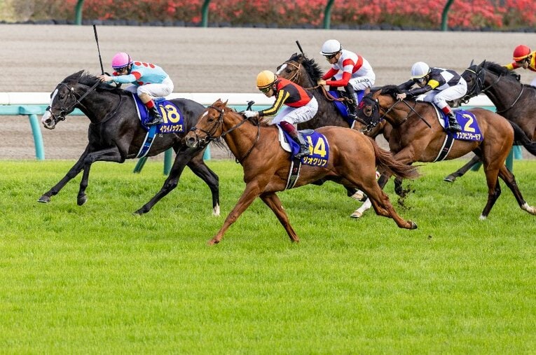 ジオグリフとイクイノックスのワンツーとなった2022年の皐月賞のように、クラブ馬がGIレースで上位を席巻することも珍しくない ／ photograph by Photostud