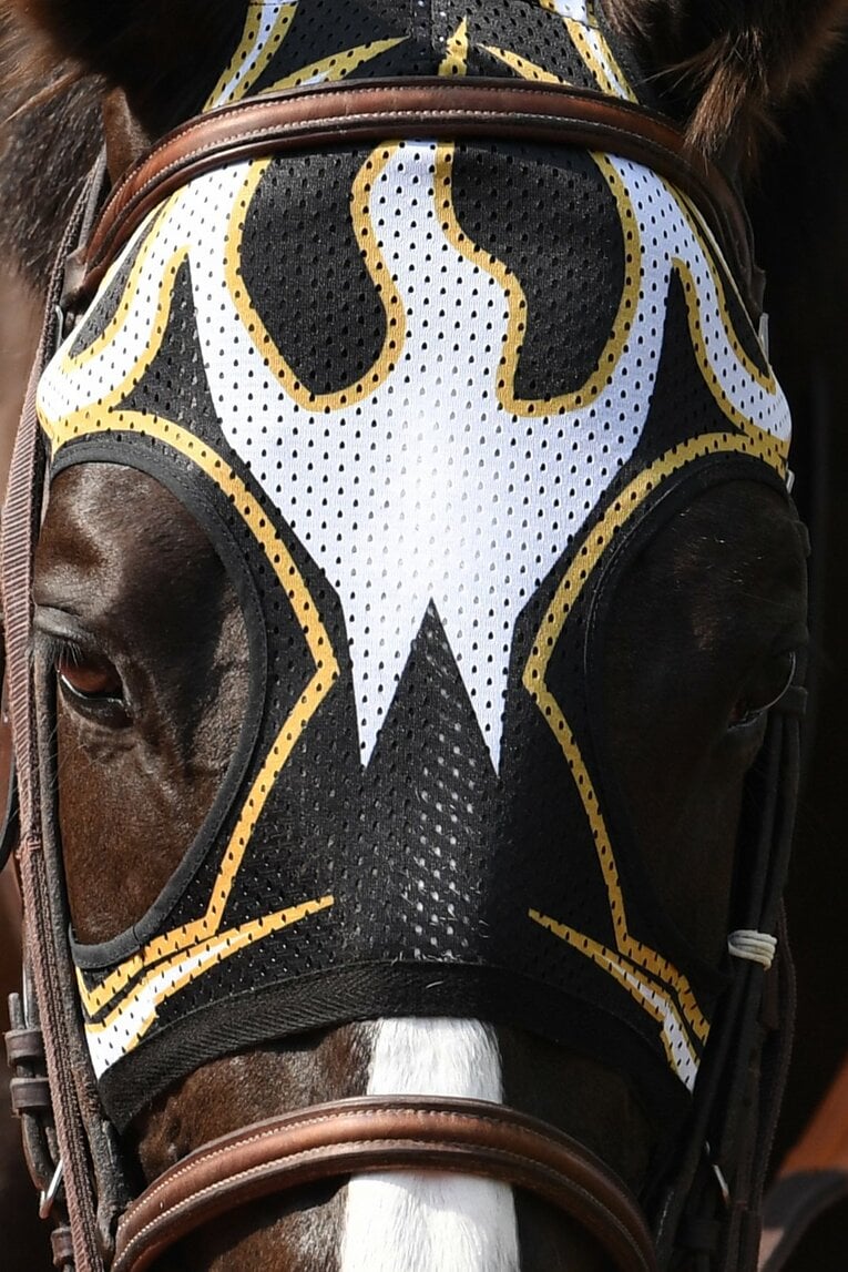 マスクそっくりのメンコを装着したエルデスペラード号　©Masashi Hara