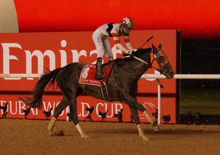 「GI10勝」「ドバイの師から特別装蹄」ホッコータルマエが遺した“ダート王伝説” レパードSで父子制覇なるか？(9)